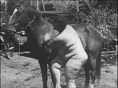 スウィートブロンド 女子 専用 エロ 動画